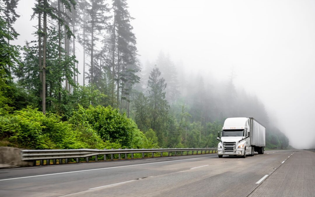 The next 12 to 18 month are predicted to be an unpredictable time for the trucking industry.